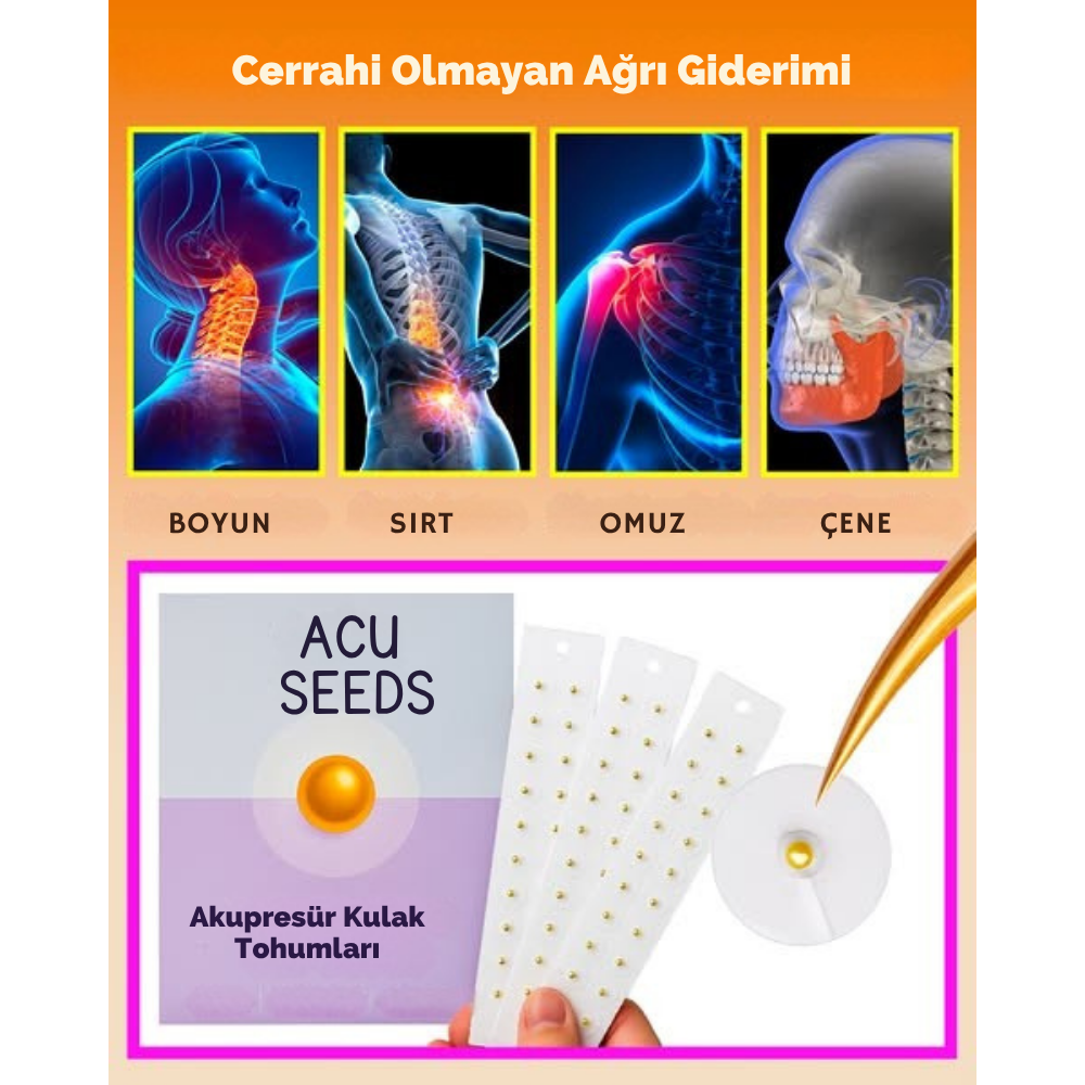 Acuseeds™ – Kulak Akupresür Tohumları Doğal Stres, Anksiyete, Hormon ve İştah Dengesi Desteği