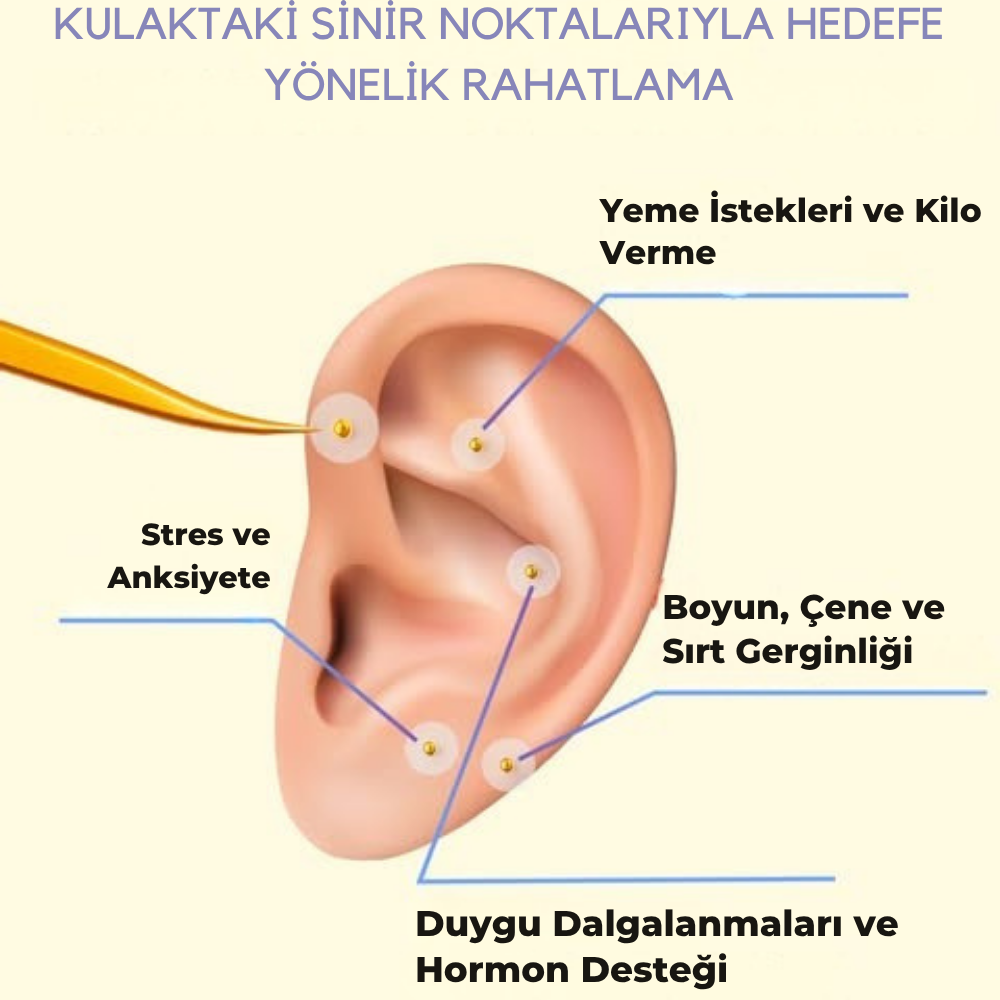 Acuseeds™ – Kulak Akupresür Tohumları Doğal Stres, Anksiyete, Hormon ve İştah Dengesi Desteği